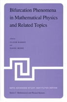 Bardos, C Bardos, C. Bardos, Claude Bardos, BESSIS, Bessis... - Bifurcation Phenomena in Mathematical Physics and Related Topics