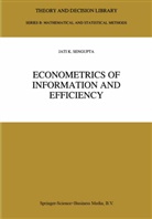 Jati Sengupta, Jati K. Sengupta - Econometrics of Information and Efficiency