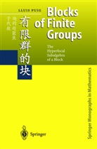 L. Puig, Lluis Puig - Blocks of Finite Groups