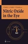 Akinori Akaike, Yoshihito Honda, Satoshi Kashii, KASHII S., A. Akaike, Y. Honda... - Nitric Oxide in the Eye