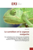Enzo Fuchs, Fuchs-E - Le cameleon et la sagesse malgache