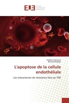 Frédéri Clermont, Frédéric Clermont, Bernard Robaye - L'apoptose de la cellule endothéliale