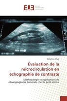 Sébastien Mulé, Mule-s - Evaluation de la microcirculation