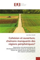 Jean-Marc Callois, Callois-j - Cohesion et ouverture, chainons