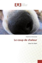 Stéphanie Chevessend, Chevessend-s - Le coup de chaleur