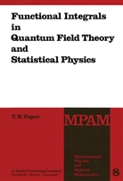 Jan Niederle, V N Popov, V. N. Popov, V.N. Popov, Viktor Nikolayevich Popov, L. Hlavatý... - Functional Integrals in Quantum Field Theory and Statistical Physics