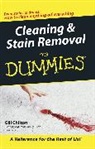 G Chilton, Gil Chilton, Gill Chilton, Chilton Gill - Cleaning and Stain Removal for Dummies