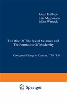 J. Heilbron, Johan Heilbron, Lar Magnusson, Lars Magnusson, B. Wittrock, Björn Wittrock - The Rise of the Social Sciences and the Formation of Modernity