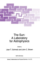 Brown, Brown, J. C. Brown, J.C. Brown, John C Brown, John C. Brown... - The Sun: A Laboratory for Astrophysics