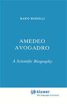 M Morselli, M. Morselli, Mario Morselli - Amedeo Avogadro