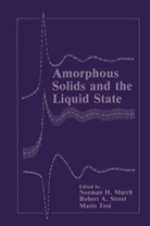 Norman H. March, Rober A Street, Robert A Street, Norman H. March, Mario P Tosi, Robert Street... - Amorphous Solids and the Liquid State