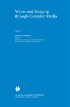Sebbah, P Sebbah, P. Sebbah, Patrick Sebbah - Waves and Imaging through Complex Media