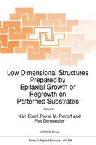 Piet Demeester, K. Eberl, Pierr M Petroff, Pierre M Petroff, Pierre M. Petroff - Low Dimensional Structures Prepared by Epitaxial Growth or Regrowth on Patterned Substrates