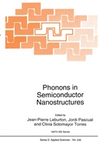 J. P. Leburton, J.P. Leburton, Clivia M Sotomayor Torres, Pascual, J Pascual, J. Pascual... - Phonons in Semiconductor Nanostructures