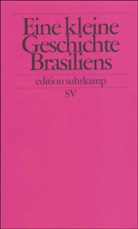 Walt Bernecker, Walther L. Bernecker, Hors Pietschmann, Horst Pietschmann, Rüdige Zoller, Rüdiger Zoller - Eine kleine Geschichte Brasiliens
