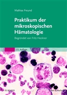 Freund, Mathia Freund, Mathias Freund, Heckne, Fritz Heckner - Praktikum der mikroskopischen Hämatologie