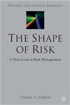 C Fishkin, C. Fishkin, Charles A. Fishkin - The Shape of Risk