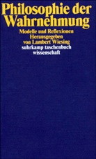 Lamber Wiesing, Lambert Wiesing - Philosophie der Wahrnehmung