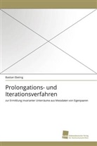 Bastian Ebeling - Prolongations- und Iterationsverfahren
