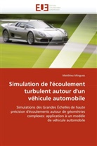 Matthieu Minguez, Minguez-M - Simulation de l ecoulement