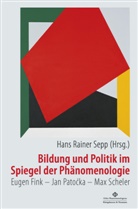Han R Sepp, Han Rainer Sepp, Hans Rainer Sepp, Hans R. Sepp, Hans Rainer Sepp - Bildung und Politik im Spiegel der Phänomenologie