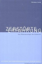 Christian Grüny - Zerstörte Erfahrung