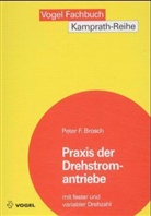 Brosch, Peter Brosch, Peter F. Brosch - Praxis der Drehstromantriebe