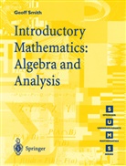 Geoff Smith, Geoffrey C Smith, Geoffrey C. Smith - Introductory Mathematics: Algebra and Analysis