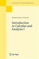 Richar Courant, Richard Courant, Fritz John - Introduction to Calculus and Analysis - 1: Introduction to Calculus and Analysis 1