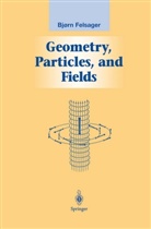 Bjoern Felsager, Bjørn Felsager - Geometry, Particles, and Fields