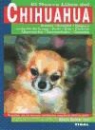 Mónica Bedmar Insa - Chihuahua