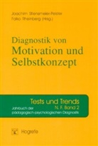 Rheinberg, Rheinberg, Falko Rheinberg, Stiensmeier-Pelster, Joachi Stiensmeier-Pelster, Joachim Stiensmeier-Pelster - Diagnostik von Selbstkonzept, Lernmotivation und Selbstregulation