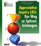 Matthias Bonsen, Carole Maleh, Matthias zur Bonsen, Matthias ZurBonsen - Appreciative Inquiry (AI), Der Weg zu Spitzenleistungen