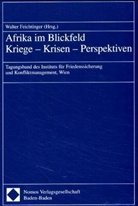 Walter Feichtinger, Benedikt Hensellek, Johannes Raidl - Afrika im Blickfeld