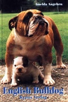 Imelda Angehrn - English Bulldog