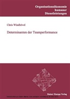 Chris Windhövel - Determinanten der Teamperformance