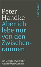 Peter Handke - Aber ich lebe nur von den Zwischenräumen