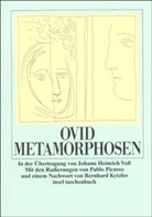 Ovid, Pablo Picasso - Metamorphosen