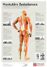 Matthias Marquardt - Muskuläre Dysbalancen, Poster