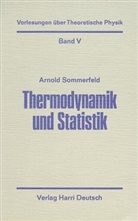 Arnold Sommerfeld - Vorlesungen über Theoretische Physik - Bd.5: Thermodynamik und Statistik