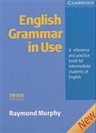 English Grammar in Use
