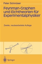 Peter Schmüser - Feynman-Graphen und Eichtheorien für Experimentalphysiker