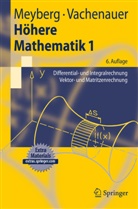 Meyber, Kur Meyberg, Kurt Meyberg, Vachenauer, Peter Vachenauer - Höhere Mathematik - 1: Höhere Mathematik 1