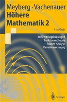 Meyber, Kur Meyberg, Kurt Meyberg, Vachenauer, Peter Vachenauer - Höhere Mathematik - 2: Höhere Mathematik