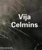 Celmin, Celmins, Briony Fer, Robert Gober, Gober et al, Relye... - Vija Celmins