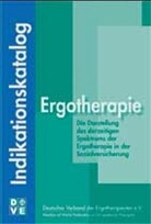Reinhild Ferber, Mathias Gans, Matthias Gans - Indikationskatalog Ergotherapie