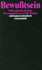 Sybill Krämer, Sybille Krämer - Bewußtsein