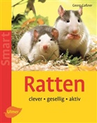 Georg Gassner, Regina Kuhn - Ratten
