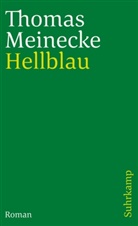 Thomas Meinecke - Hellblau