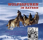 Gertrud Scherf - Wolfsspuren in Bayern